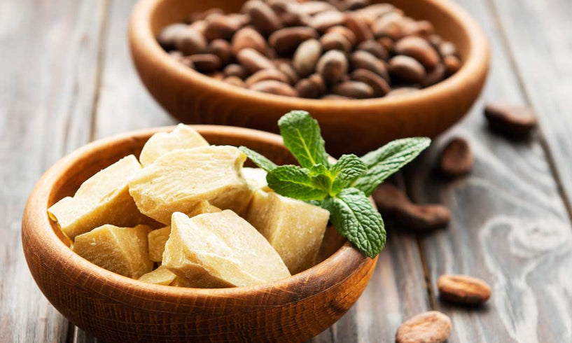The benefits of cocoa butter skin care image