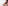 Natural beard grooming tips – how to care for your beard image