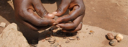 Shea Butter
