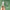 Thumbnail for Firming Vitamin C Eye Serum image