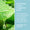 Aloe Vera-blader ved siden av informasjon om de beroligende ingrediensene i Green People Aloe Vera & Prebiotics Deodorant.