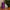 Thumbnail for All is Calm Christmas skin care gift with Christmas tree and decorations image