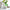 Thumbnail for organic babies soothing baby salve image