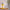 Thumbnail for age defy+ cell enrich facial oil dropper dermatologically tested image