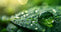 Why organic beauty? image