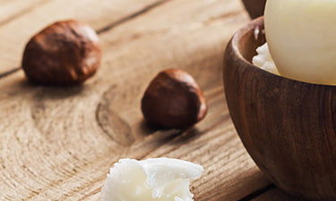 SHEA BUTTER image