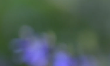 Paraben-free skin care image