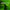 Thumbnail for videowise-widget-6650a46865d6840029d9d065-4732006268973 image