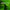 Thumbnail for videowise-widget-6650a46865d6840029d9d065-4732017737773 image
