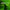 Thumbnail for videowise-widget-6650a46865d6840029d9d065-4732018720813 image