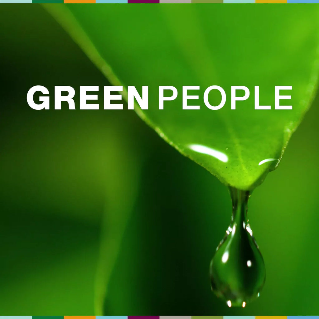 videowise-widget-6650a46865d6840029d9d065-4732024946733