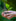 700+ TREES PLANTED image